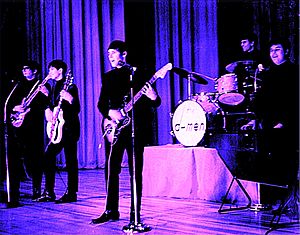 Archivo:The D-Men 1964