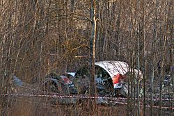 Tu-154-crash-in-smolensk-20100410-11.jpg