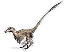 Archivo:Velociraptor dinoguy2