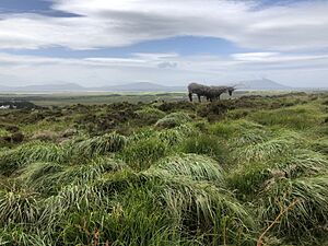 Archivo:Wild Nephin Ballycroy National Park