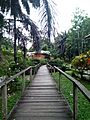 Wooden Walkway of Ikogosi Cold and Warm Spring