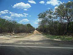 Xmatkuil, Yucatán (07)