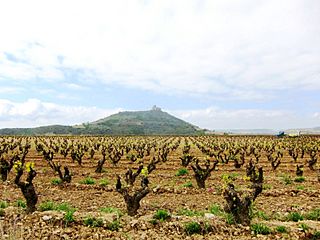 A Rioja Vineyard - panoramio.jpg