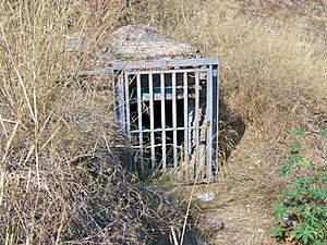 Archivo:Almendral del Rey Water Mine 02