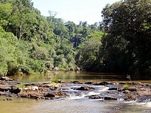 Archivo:Arroyo Tabay en el municipio de Jardín América