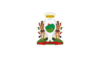 Bandera de Monterrey, Nuevo León, México.svg