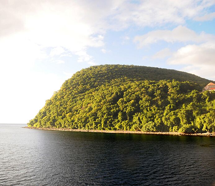 Cabritts National Park, Dominica - panoramio