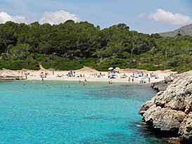 Cala Varques 29.jpg