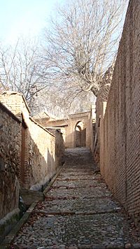 Archivo:Camino medieval del Generalife, tramo de abajo