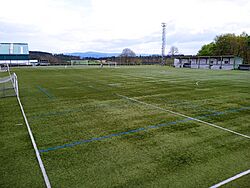 Campo do Forte, Boqueixón.jpg