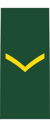 Canadian Army OR-3.svg