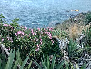 Archivo:Ceuta (17)