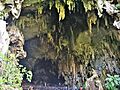 Cueva de las Lechuzas, al Parc Nacional de Tingo María01