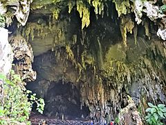Cueva de las Lechuzas, al Parc Nacional de Tingo María01