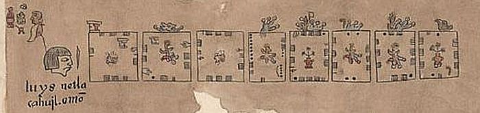 Archivo:Edaphologycal Aztec glyphs Aztec Metric System Codex Humboldt detail Fragment VIII 1500-1600