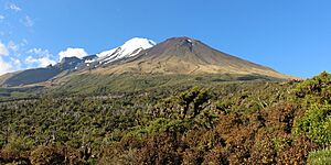 Archivo:Egmont National Park, December 2015, New Zealand (42)