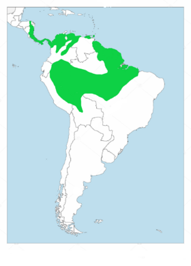 Distribución geográfica del formicario enmascarado.