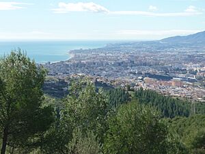 Archivo:Foto de Málaga desde Los Montes