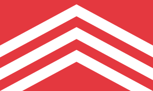 Archivo:Glamorgan Flag