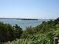 GreenandFurzeyIsland