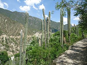 Archivo:Grutas de Tolantongo - panoramio (13)