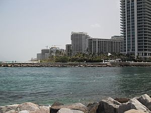 Archivo:Haulover-park-12