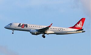 LAM Mozambique Embraer 190 C9-EMC.jpg