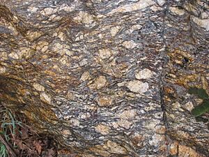 Archivo:La Morcuera gneiss - Miraflores de la Sierra, Madrid, Spain 02