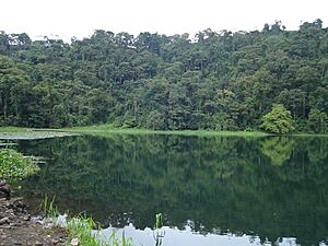 Archivo:Laguna Hule