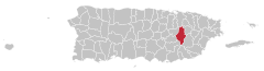 Locator-map-Puerto-Rico-Caguas.svg
