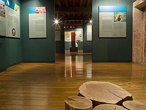 Archivo:Museo de la Naturaleza de Cantabria (256)