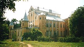 Archivo:Nesvizh castle c