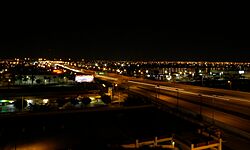 Palmetto at Night - panoramio.jpg