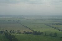 Archivo:Palmira Valle