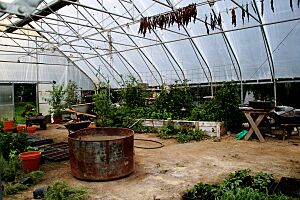 Archivo:Pizza farm, a to z produce, stockholm, wisconsin (5823481214)