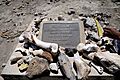 Plaque marking the discovery of Australopithecus in Tanzania