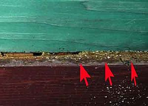 Archivo:Popunjavanje pukotin propolisom