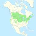 Prunus virginiana range map