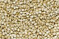 Quinoa closeup