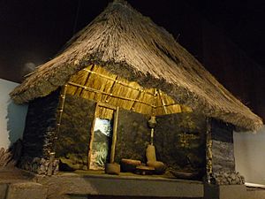 Archivo:Reconstitución de casa de Tlatilco
