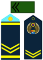 S1AMB