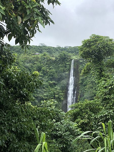 Samoa waterfall scenery