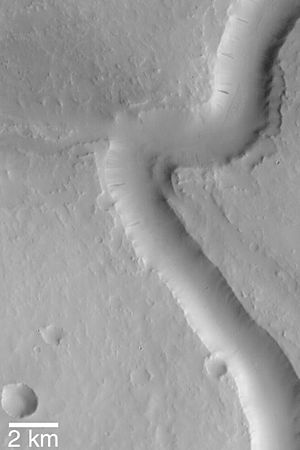 Archivo:Scamander Vallis from Mars Global Surveyor