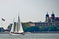 Shearwater by Ellis Island