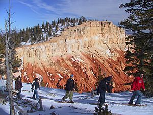 Archivo:Snowshoers in Bryce Canyon