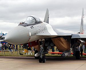 Archivo:Su-35S arm maks2009