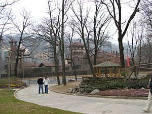 Archivo:Torino-Parco del Valentino-Borgo medioevale