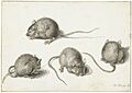 Vier studies van een zieke muis, RP-T-1880-A-98