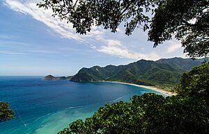 Archivo:View through trees to Wushihbi