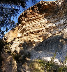 Archivo:Wind erosion cave, blue mountains